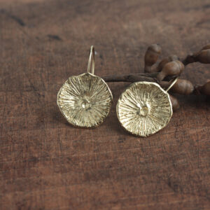 Aretes Fungi Circulares